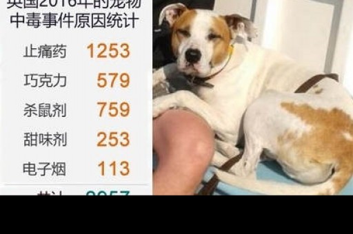 悦刻 电子烟，正要面对死亡？